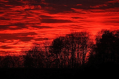 ФОТОХРОНИКА начинает новый информационный день