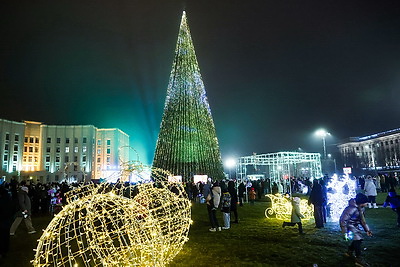 Главную елку региона зажгли в Могилеве
