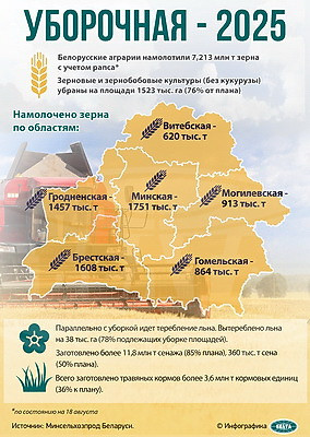 Инфографика. Уборочная - 2025