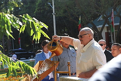 Высадка дерева удачи и храмовый комплекс Будды. Визит Лукашенко в Мьянму завершился культурной программой