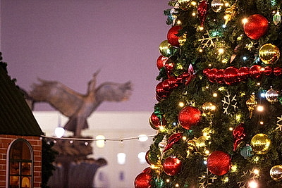 Новогодняя иллюминация превратила столицу в зимнюю сказку