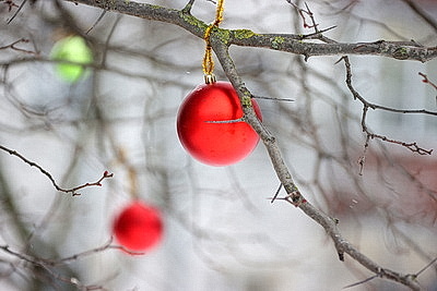 Заснеженный Минск в последние выходные уходящего года