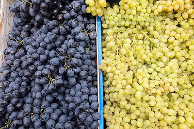 Сельскохозяйственные ярмарки стартовали в Минске