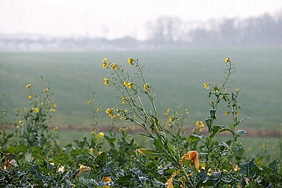 ФОТОХРОНИКА начинает новый информационный день