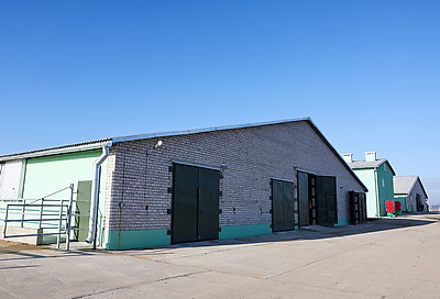 Новый МТК на 800 коров ввели в строй в Клецком районе