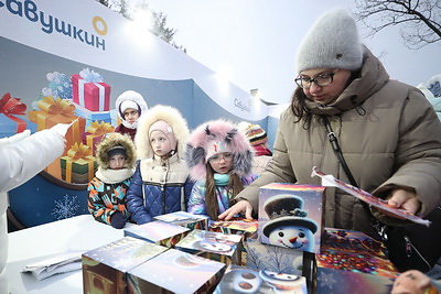 Зимний фестиваль \"Берестейские сани\" провели в Кобрине