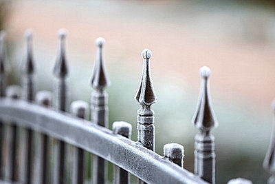 Первые заморозки в Гродно