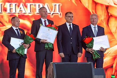 \"Дажынкi-2025\". Как в Заславле проходит областной праздник тружеников села