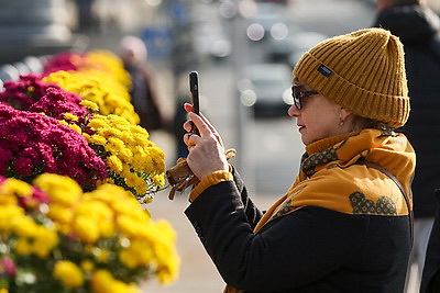 Золотые краски осени