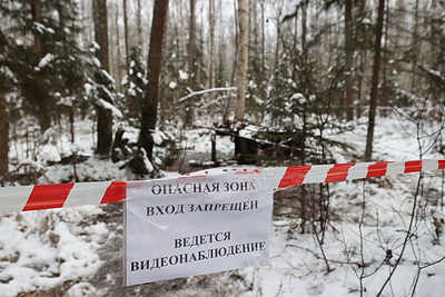 В Полоцком районе обнаружен самолет времен Великой Отечественной войны
