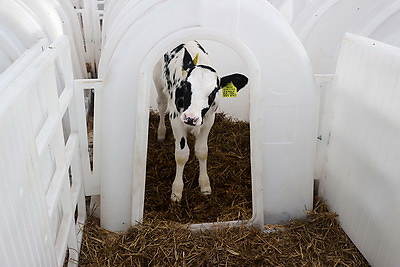 Сергеенко в Браславе пообщался с молодыми специалистами и ознакомился с новым отделением ЦРБ