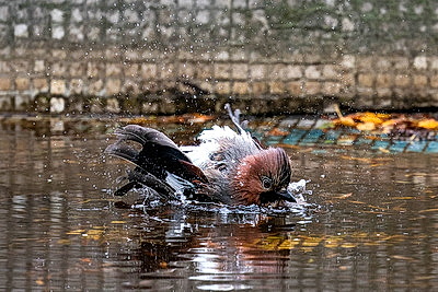 ФОТОХРОНИКА начинает новый информационный день