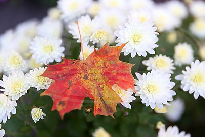 ФОТОХРОНИКА начинает новый информационный день