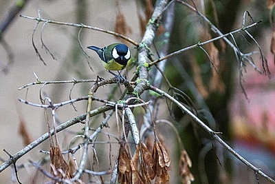 ФОТОХРОНИКА начинает новый информационный день