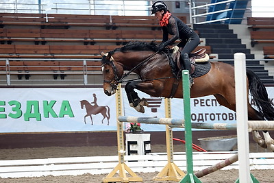 Специализированный тип спортивной лошади планируют вывести в Беларуси