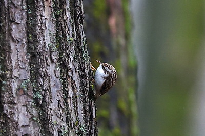 ФОТОХРОНИКА начинает новый информационный день