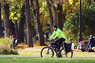 Золотые краски осени