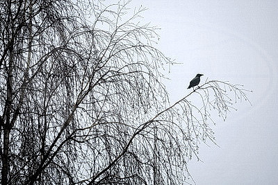 ФОТОХРОНИКА начинает новый информационный день