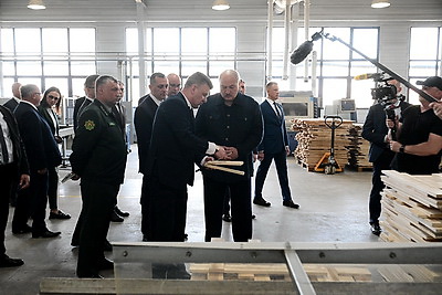 Лукашенко во время рабочей поездки в Витебскую область посетил Оршанский лесхоз