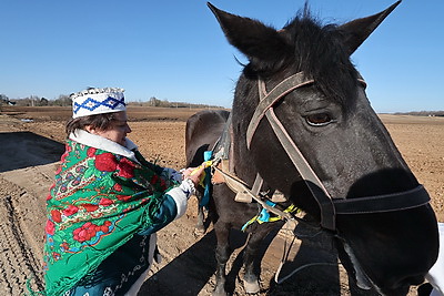 В Витебском районе дали старт посевной