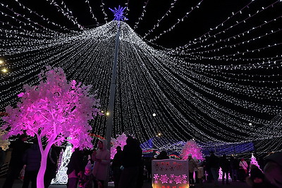 В Гомеле зажгли огни на главной елке региона