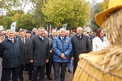Памятник креветке, выставка караваев и подворий. В Белоозерске проходят \"Дажынкі-2025\"