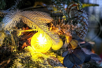 ФОТОХРОНИКА начинает новый информационный день