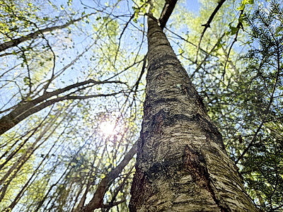 ФОТОХРОНИКА начинает новый информационный день