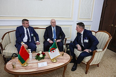Переговоры президентов Беларуси и Алжира прошли в расширенном составе