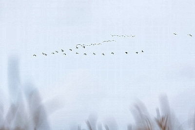 ФОТОХРОНИКА начинает новый информационный день