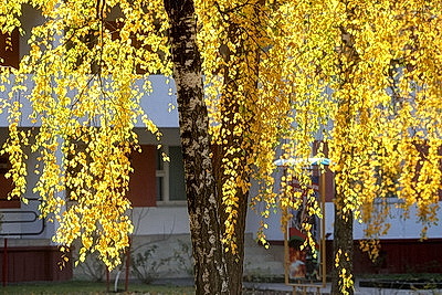 ФОТОХРОНИКА начинает новый информационный день