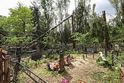 Ликвидация последствий стихии. Ход восстановительных работ в Могилеве