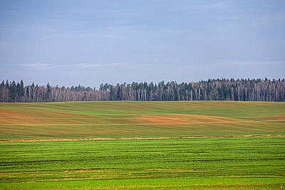 ФОТОХРОНИКА начинает новый информационный день