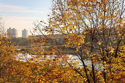 Золотые краски осени