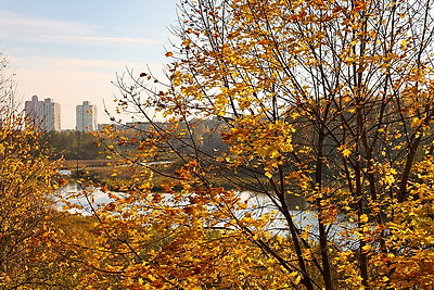 Золотые краски осени