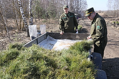 Для будущих поколений. Акция \"Дай лесу новае жыццё!\" стартовала в Жлобинском районе