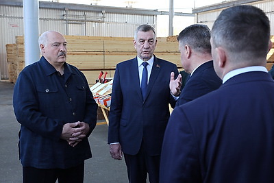 Лукашенко во время рабочей поездки в Витебскую область посетил Оршанский лесхоз