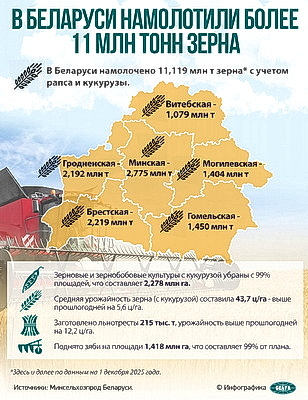 Инфографика. В Беларуси намолотили более 11 млн тонн зерна