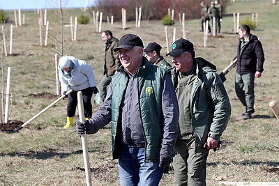 Придать мемориалу новый облик. Турчин провел субботник на Кургане Славы
