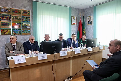 Производства по выпуску поддонов намерены наладить в Дрогичинском и Лунинецком лесхозах