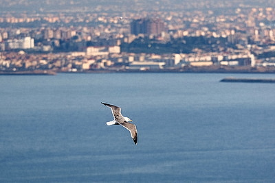 Бескрайние пески Сахары и буйство зелени. Контрастный и разнообразный Алжир