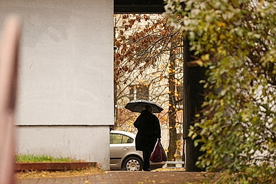 Осенний дождливый день