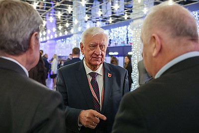 Второе заседание VII ВНС продолжает работу