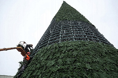 Выше девятиэтажного дома. В Могилеве монтируют главную новогоднюю елку региона