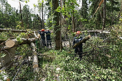 Ликвидация последствий стихии. Ход восстановительных работ в Могилеве