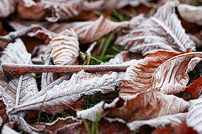 ФОТОХРОНИКА начинает новый информационный день