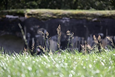 \"Мурашки бежали по телу\". Участники медиатура \"Дорогами Победы\" посетили Брестскую крепость