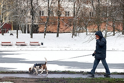 Заснеженный Минск в последние выходные уходящего года