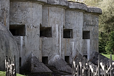 \"Мурашки бежали по телу\". Участники медиатура \"Дорогами Победы\" посетили Брестскую крепость