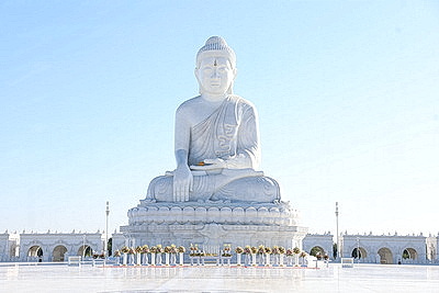 Высадка дерева удачи и храмовый комплекс Будды. Визит Лукашенко в Мьянму завершился культурной программой